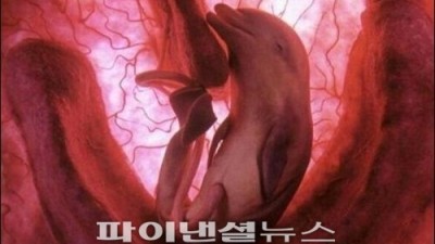 엄마 뱃속에서 웃는 돌고래, “환상적인 모습”