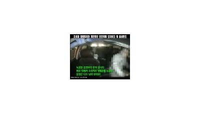 그 유명하신 택시 진상녀