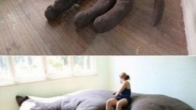 초대형 고양이 소파 ‘사람이 앉으니 더 놀라워