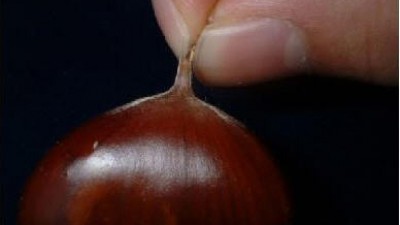 이밤의 끝을 잡고