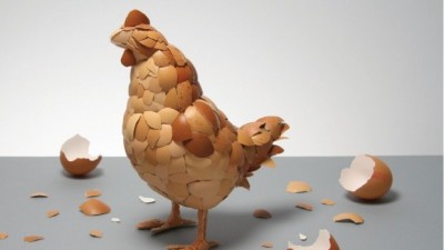 달걀껍질로 만든 치킨