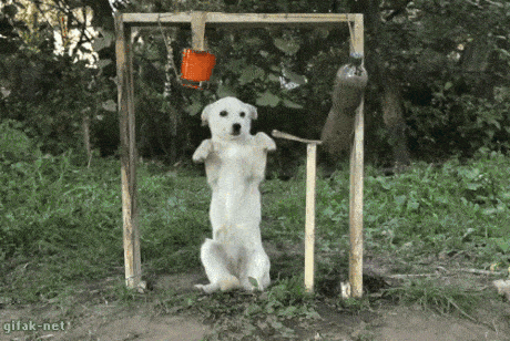 개깜놀
