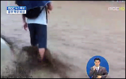 님아 그강을 건너지 마오
