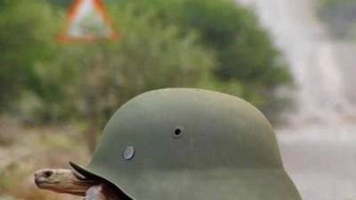 전투병 거북이