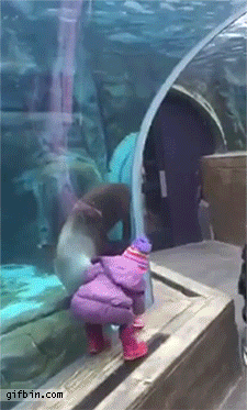 물어 와
